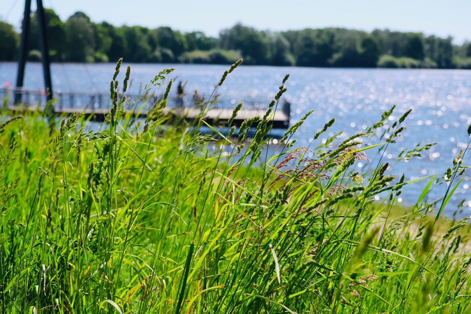 Lush green grass in the foreground, with a view of a sunlit lake and a wooden pier in the distance.
