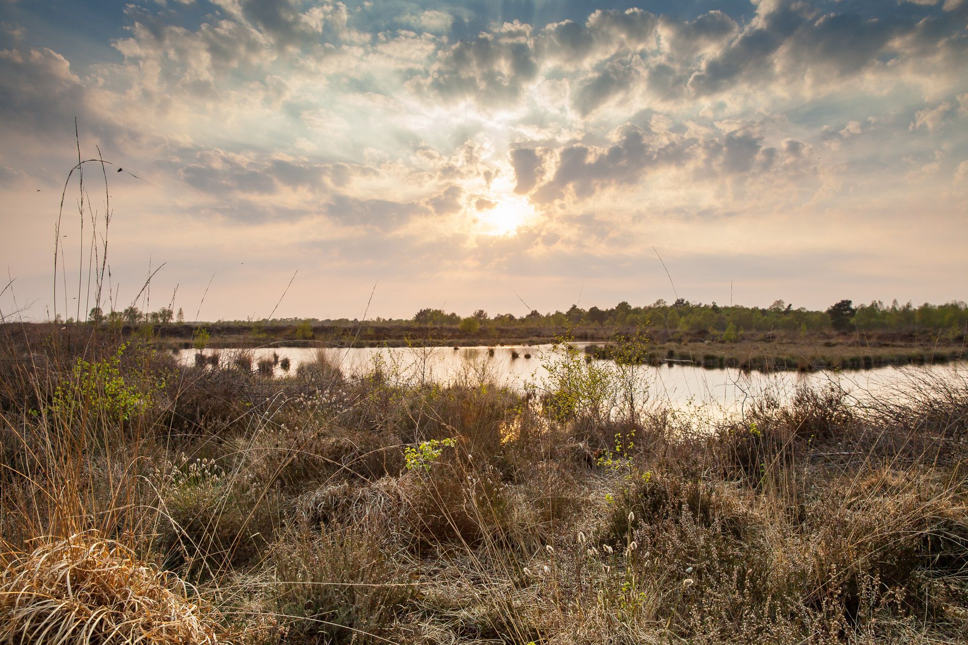 Sunlight breaks through the clouds over a marshy landscape with tall, dry grass in the foreground and calm water.