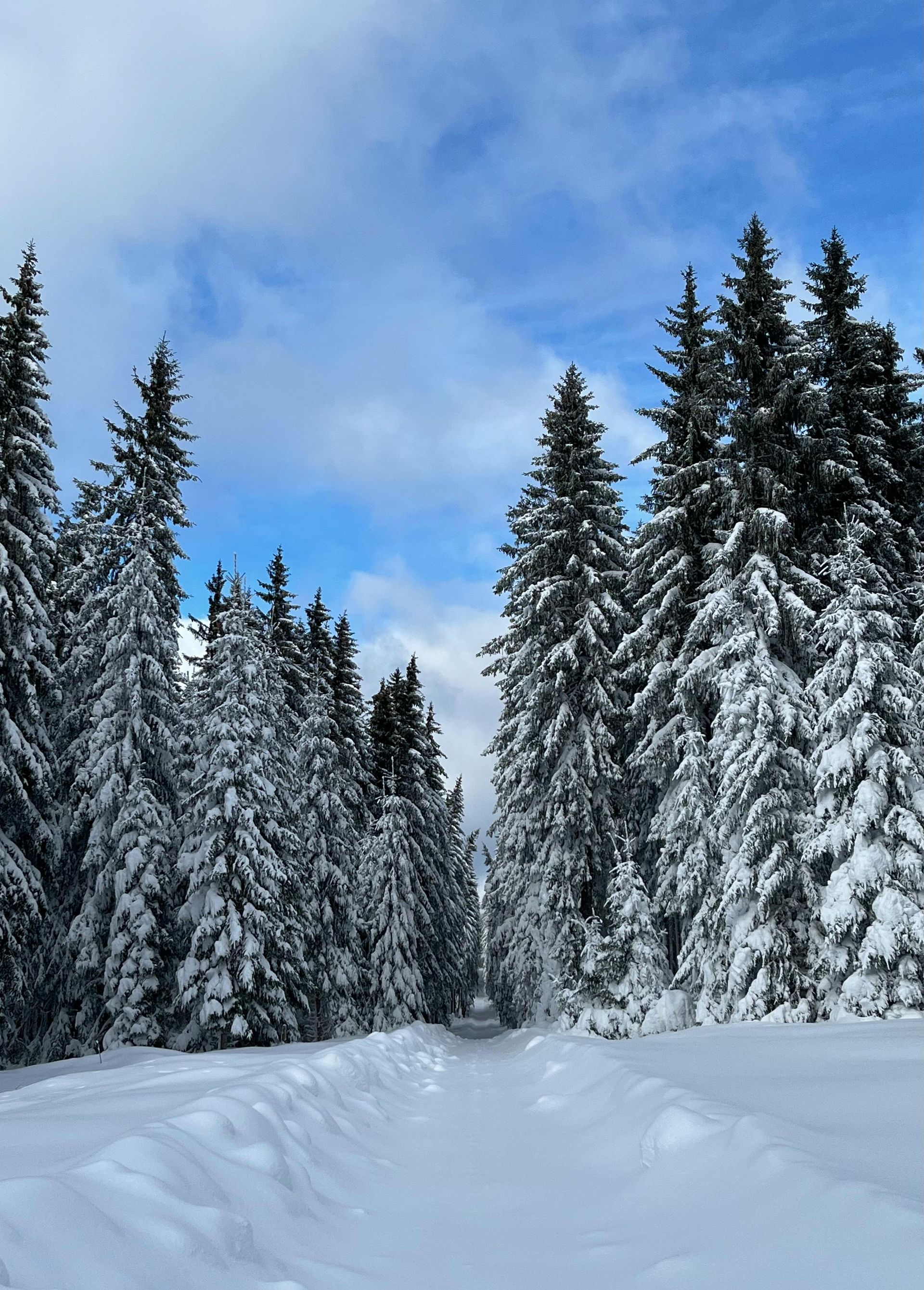 WINTER MAGIC