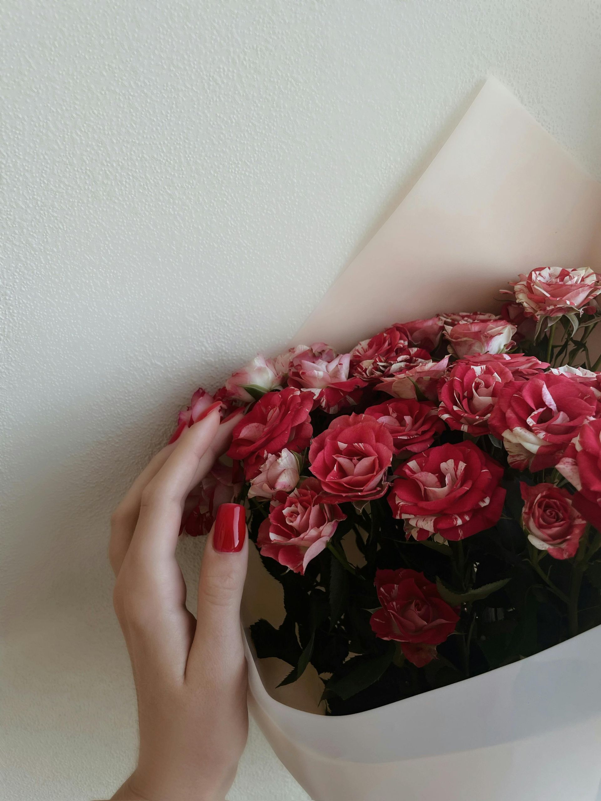 VALENTINE'S MAGIC