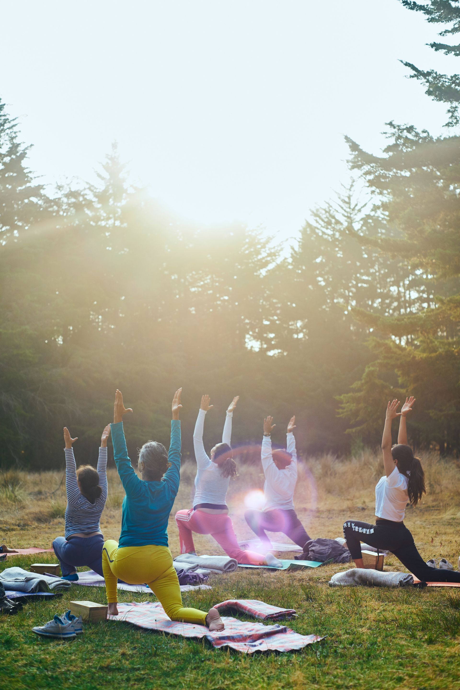 Eine Gruppe von Menschen, die auf einem offenen Feld Yoga-Posen mit zur Sonne erhobenen Armen vor einem Waldhintergrund ausführen.