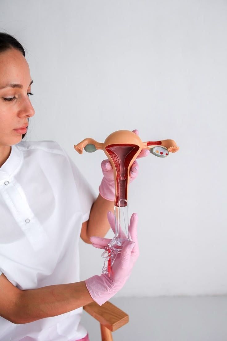 Una persona con uniforme blanco y guantes rosas sostiene un modelo anatómico de un útero y ovarios humanos.