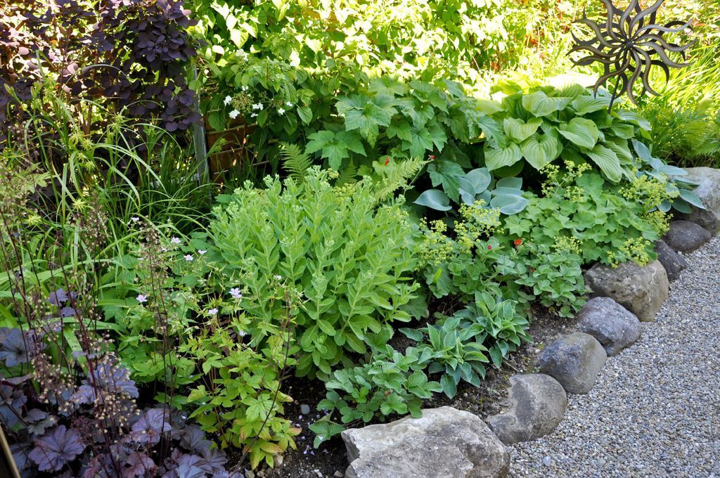 Rutschmann Gartenbau & Naturbau