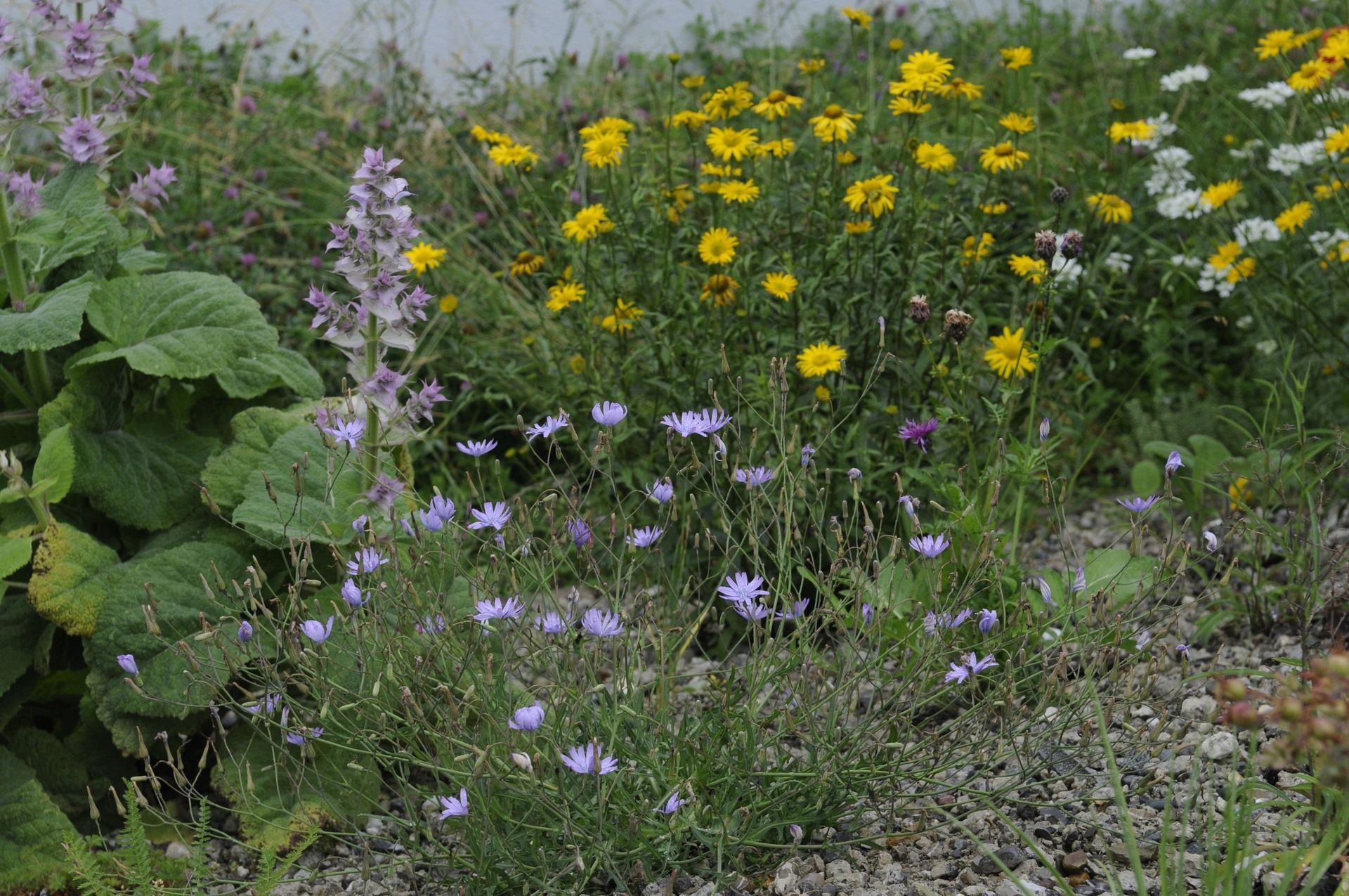 Rutschmann Gartenbau & Naturbau