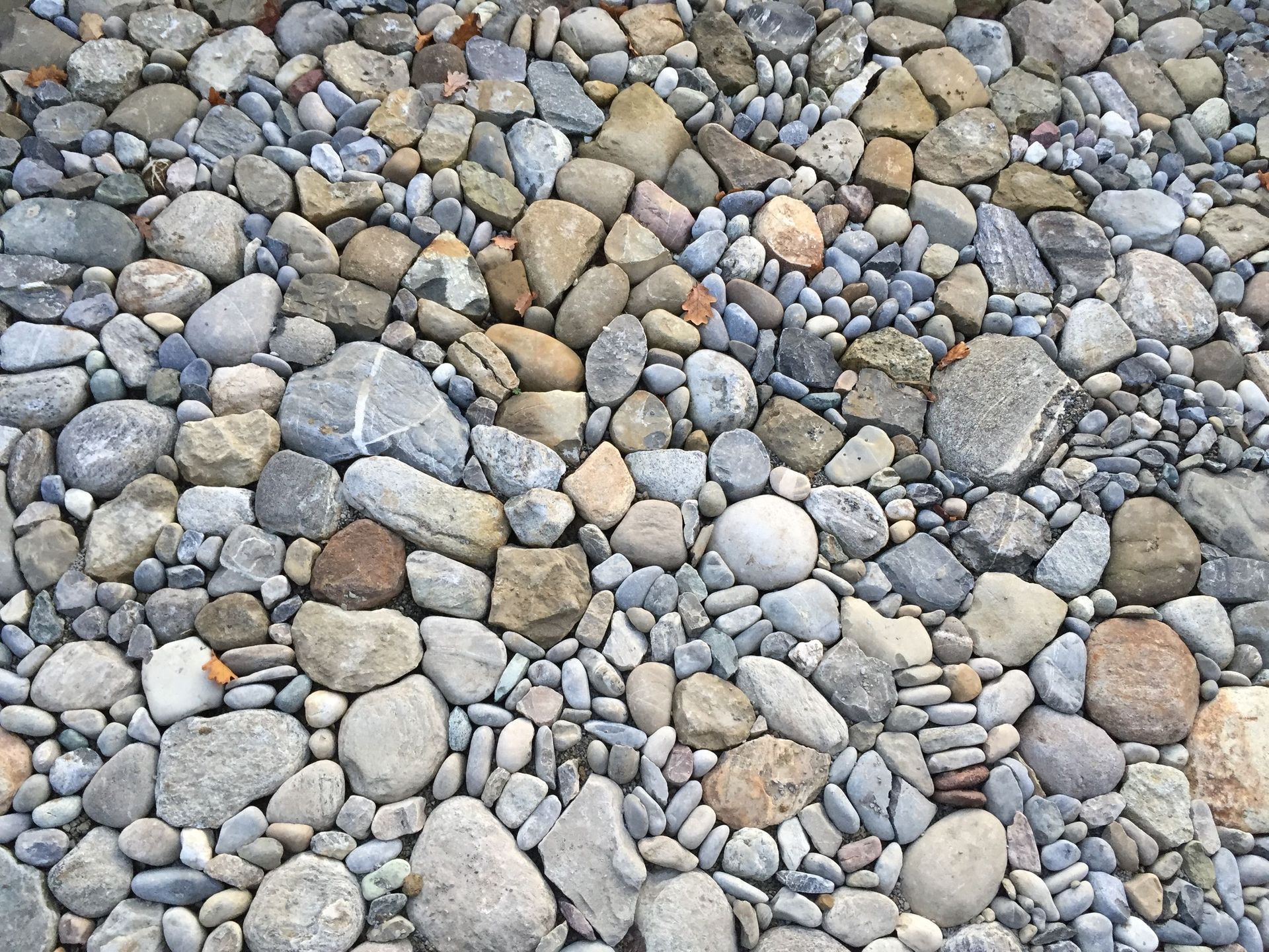 Rutschmann Gartenbau & Naturbau