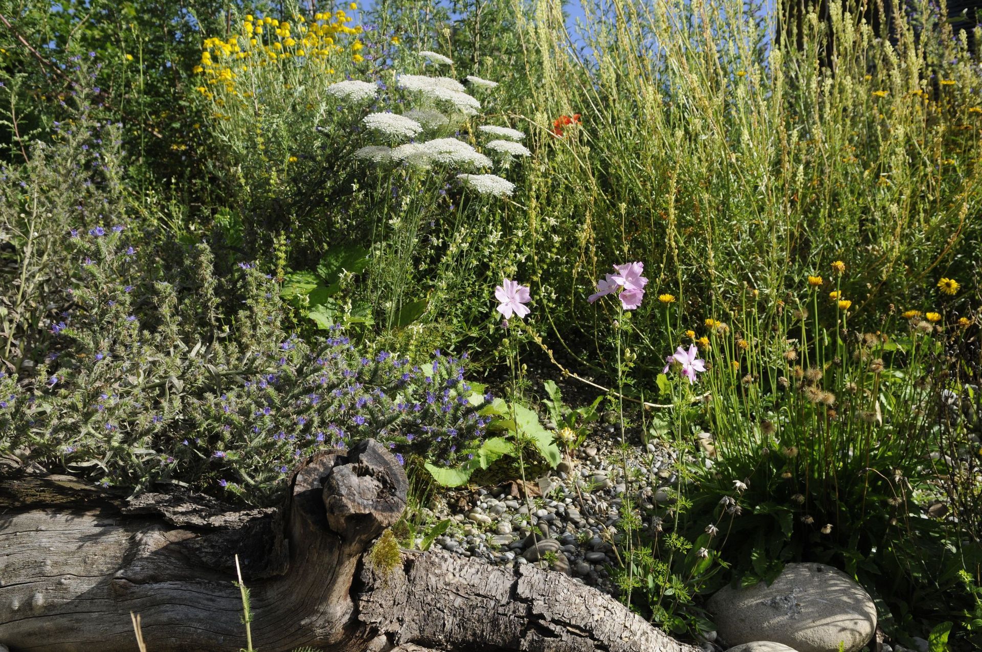 Rutschmann Gartenbau & Naturbau