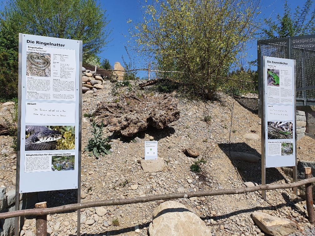Rutschmann Gartenbau & Naturbau