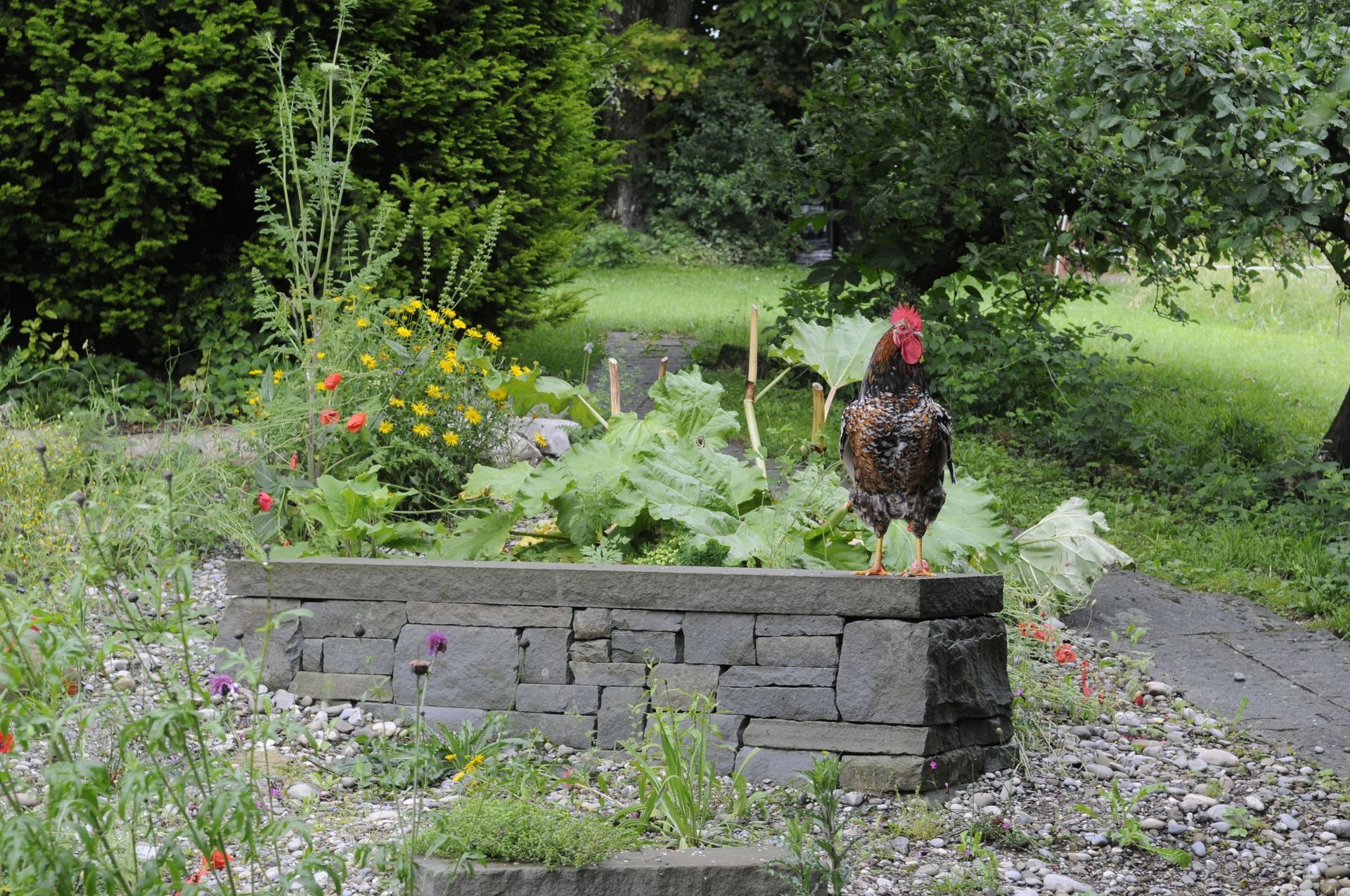 Rutschmann Gartenbau & Naturbau