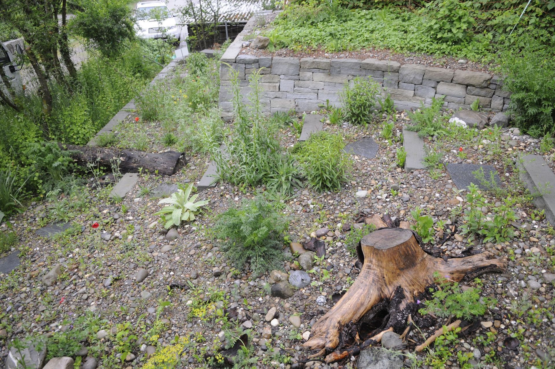 Rutschmann Gartenbau & Naturbau