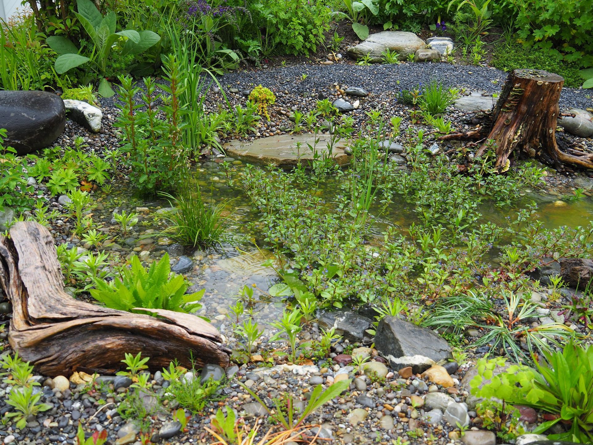 Rutschmann Gartenbau & Naturbau