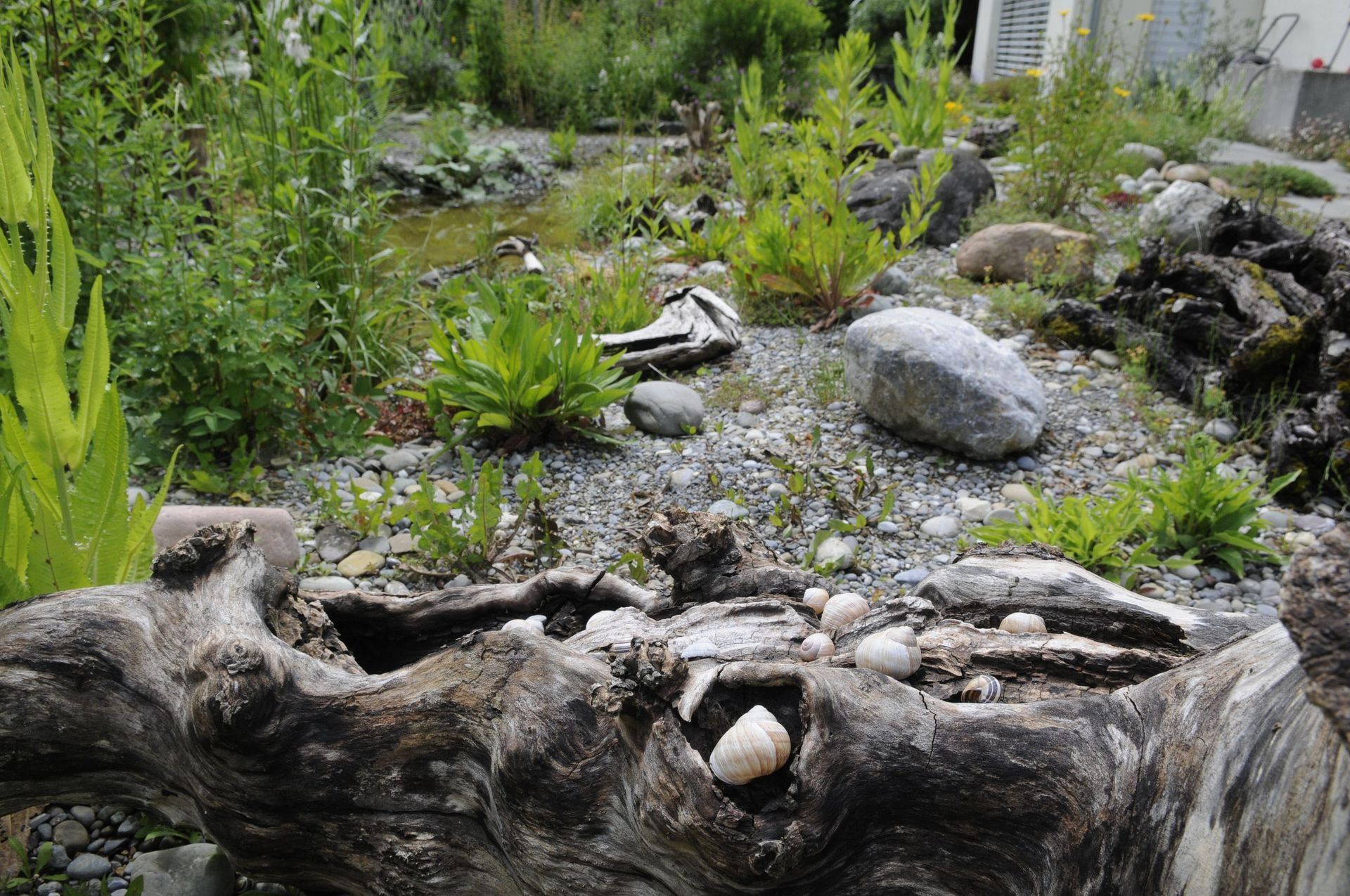 Rutschmann Gartenbau & Naturbau