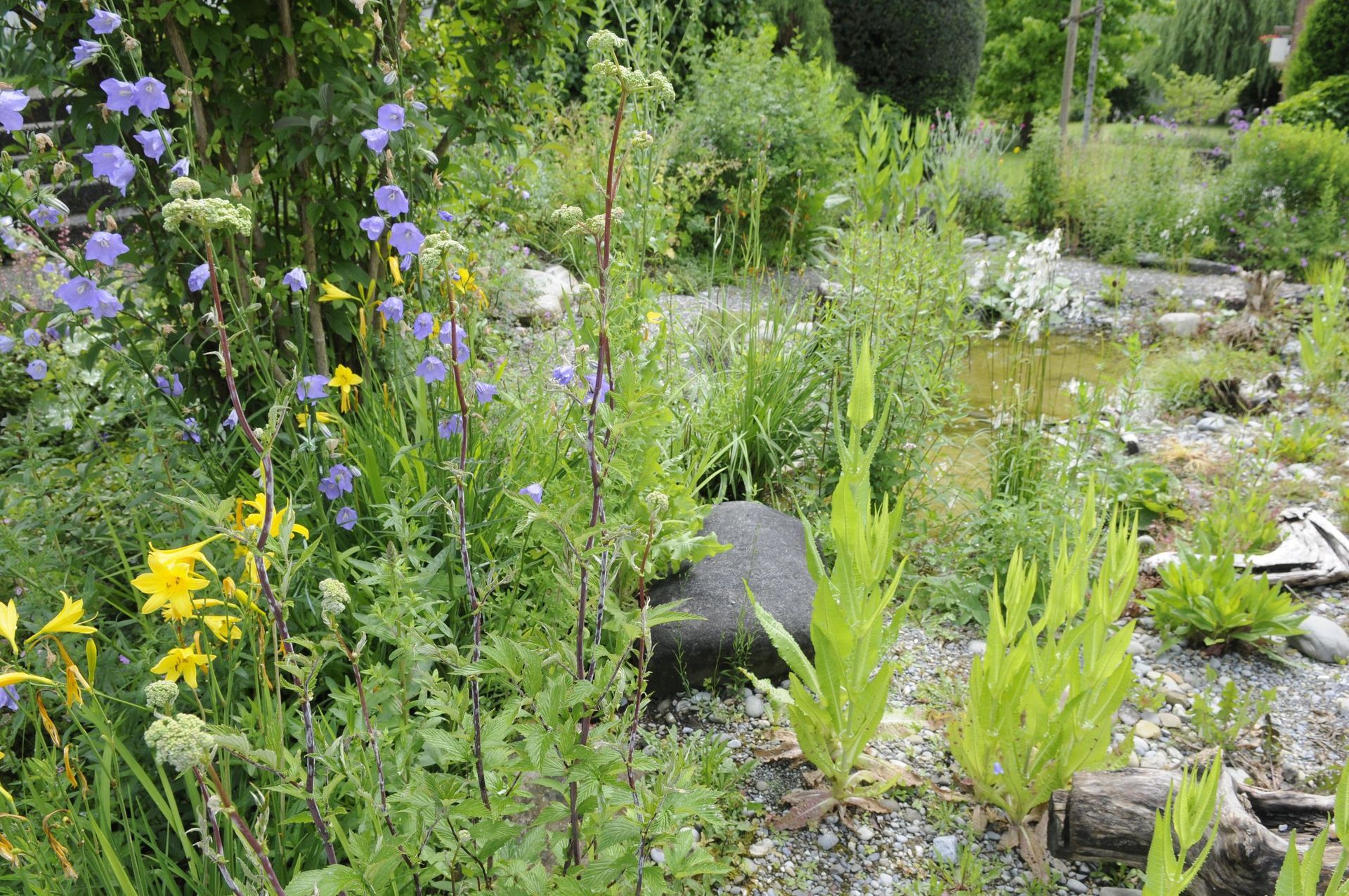 Rutschmann Gartenbau & Naturbau