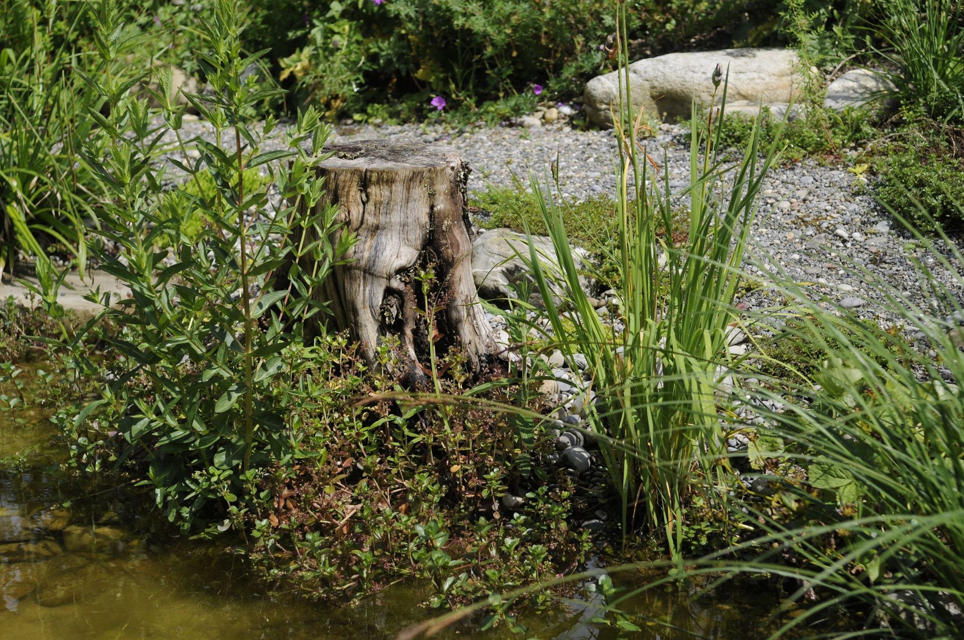 Rutschmann Gartenbau & Naturbau