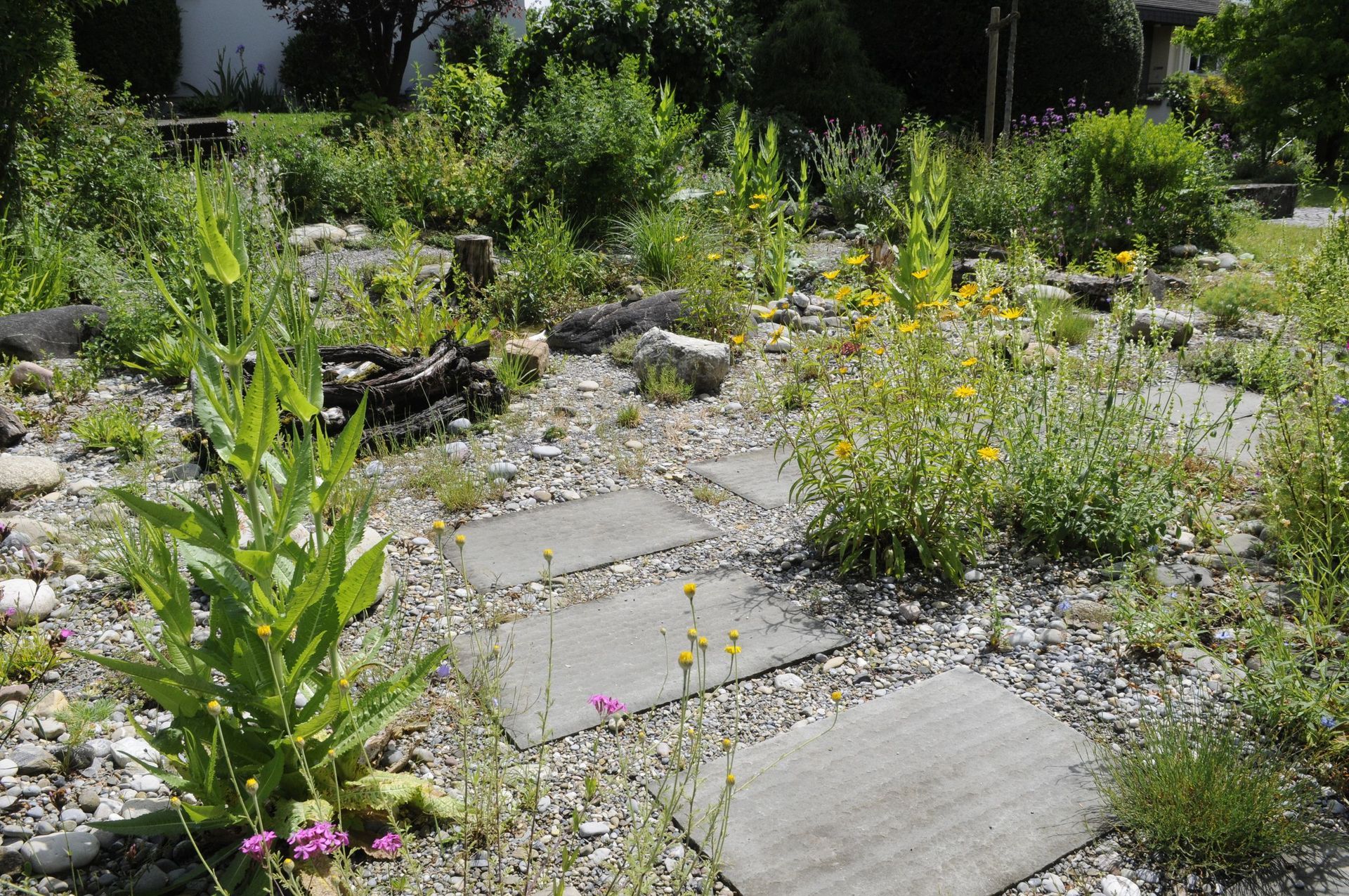 Rutschmann Gartenbau & Naturbau