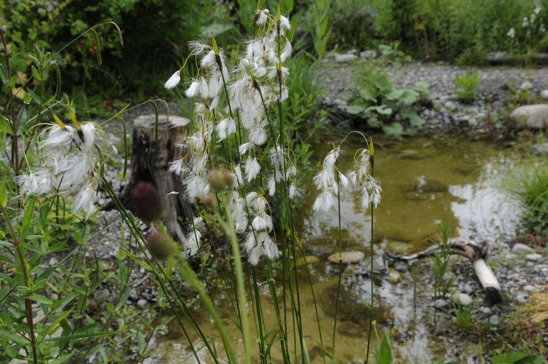 Rutschmann Gartenbau & Naturbau