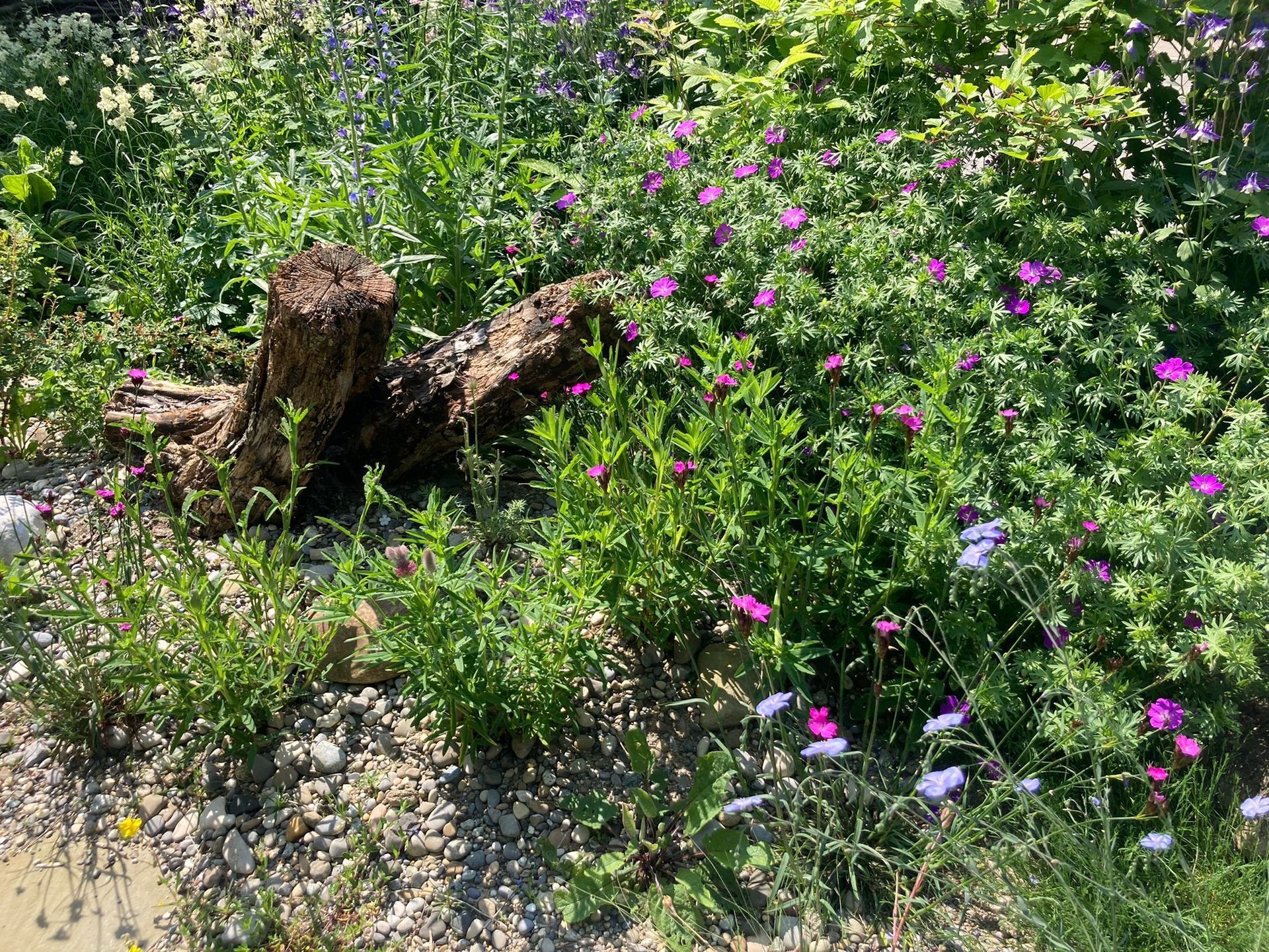 Rutschmann Gartenbau & Naturbau