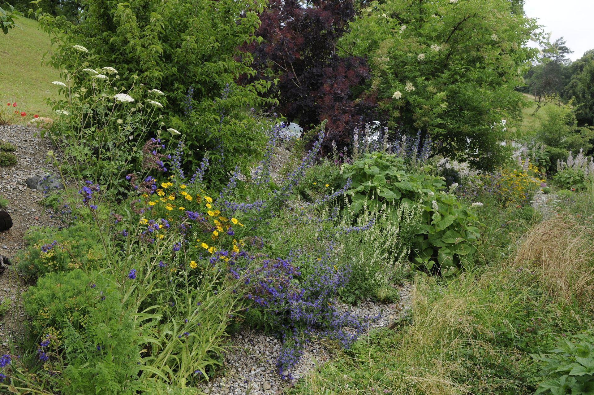 Rutschmann Gartenbau & Naturbau