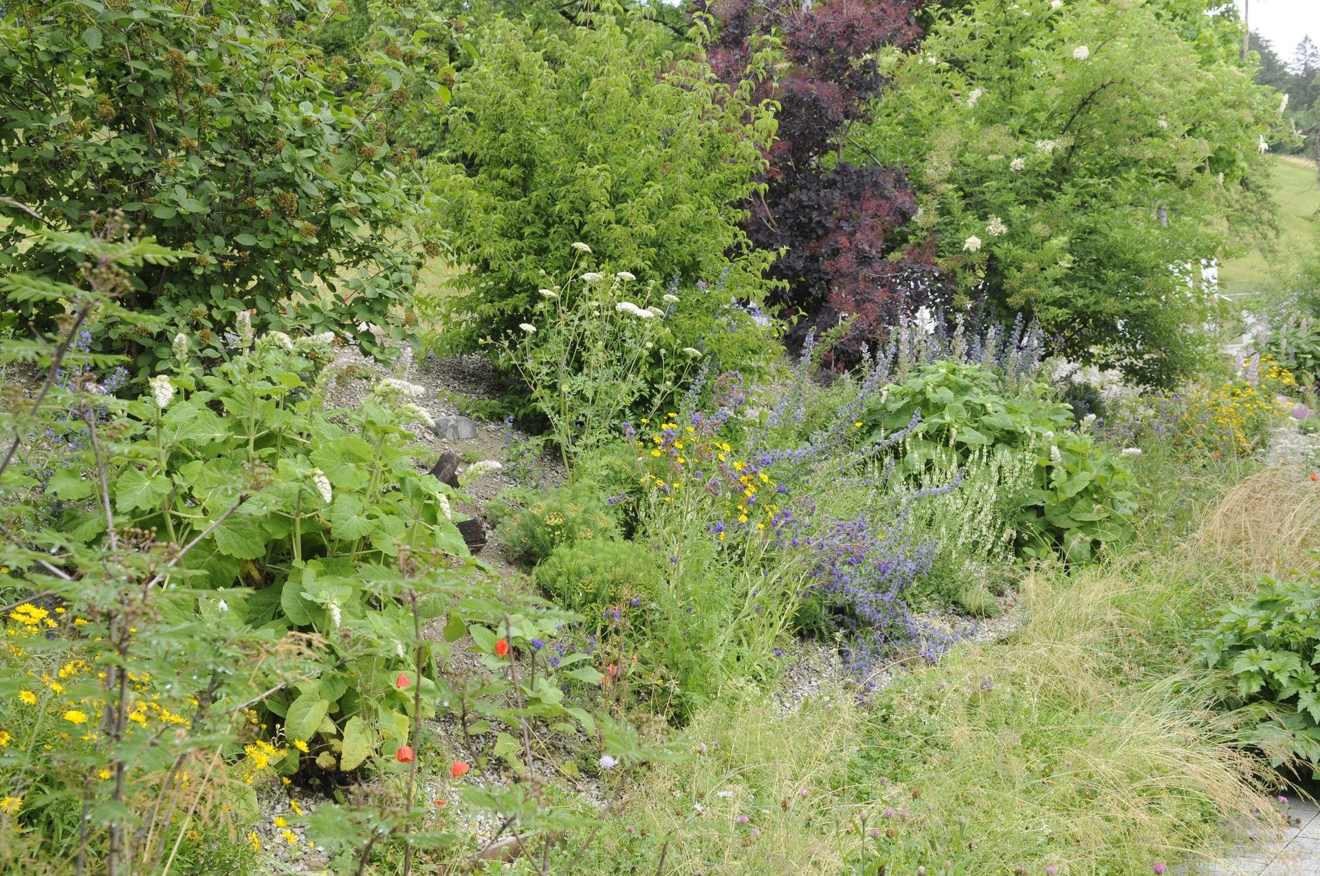 Rutschmann Gartenbau & Naturbau