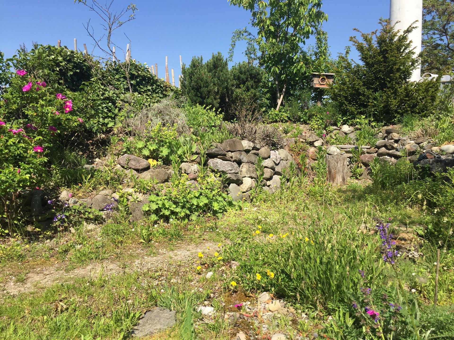 Rutschmann Gartenbau & Naturbau