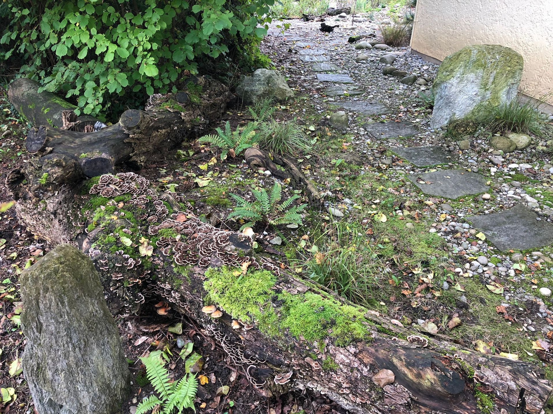 Rutschmann Gartenbau & Naturbau