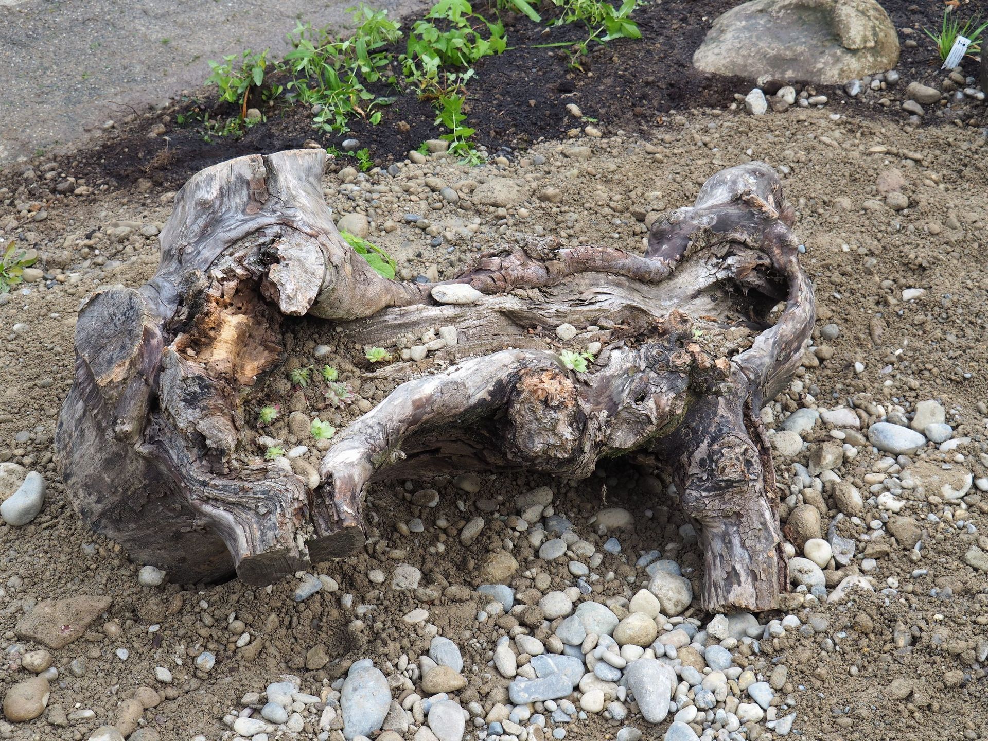 Rutschmann Gartenbau & Naturbau