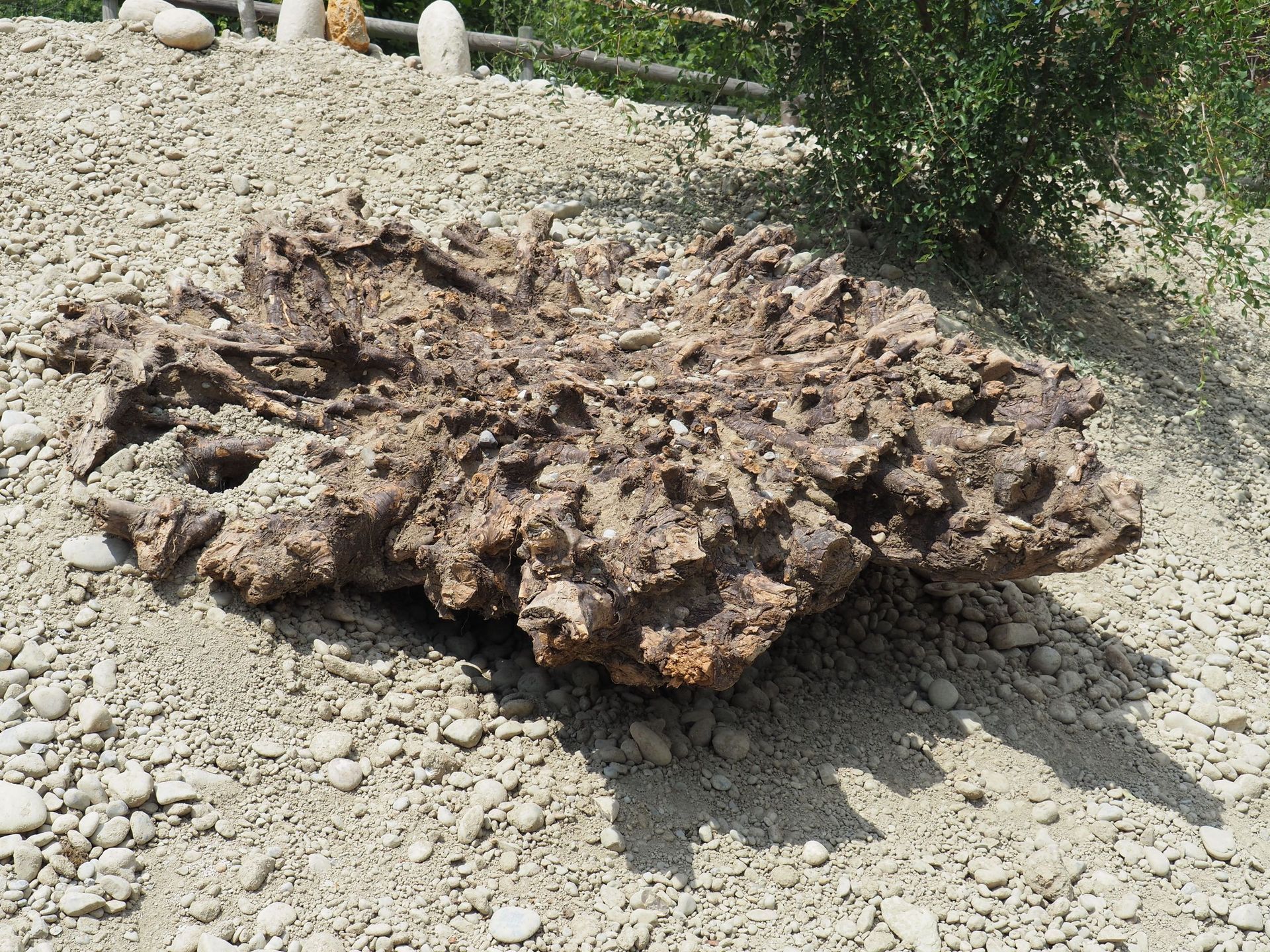 Rutschmann Gartenbau & Naturbau