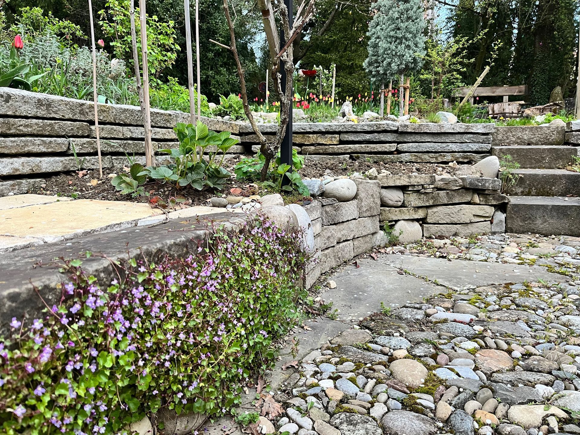 Rutschmann Gartenbau & Naturbau