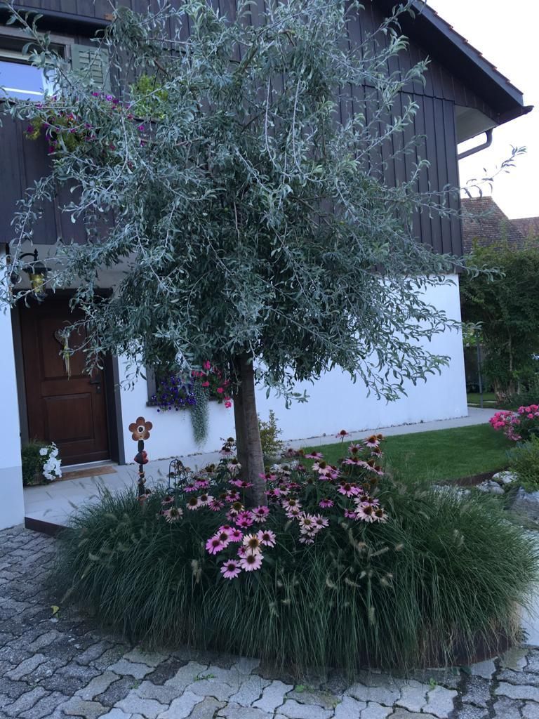 Rutschmann Gartenbau & Naturbau