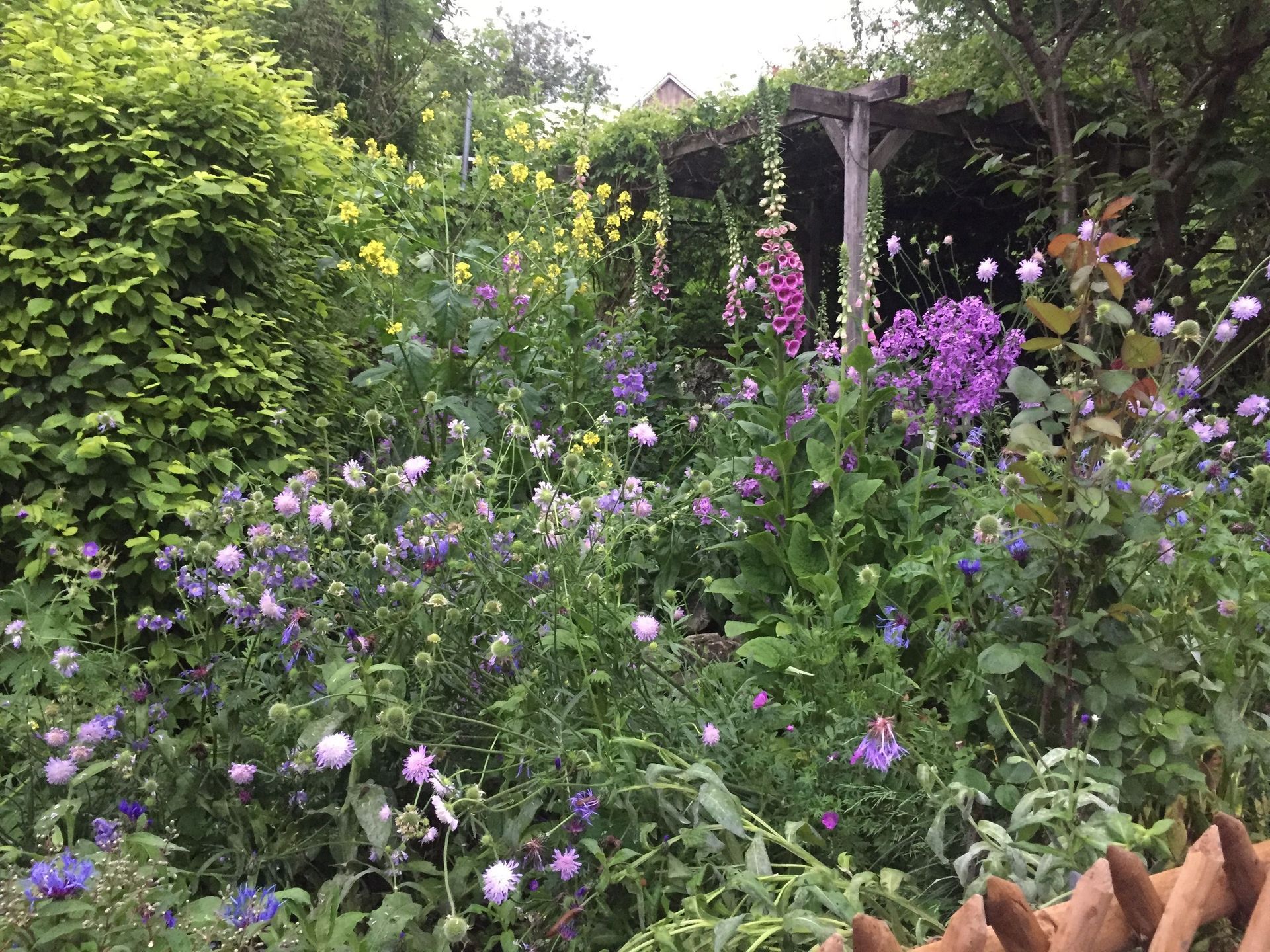 Rutschmann Gartenbau & Naturbau