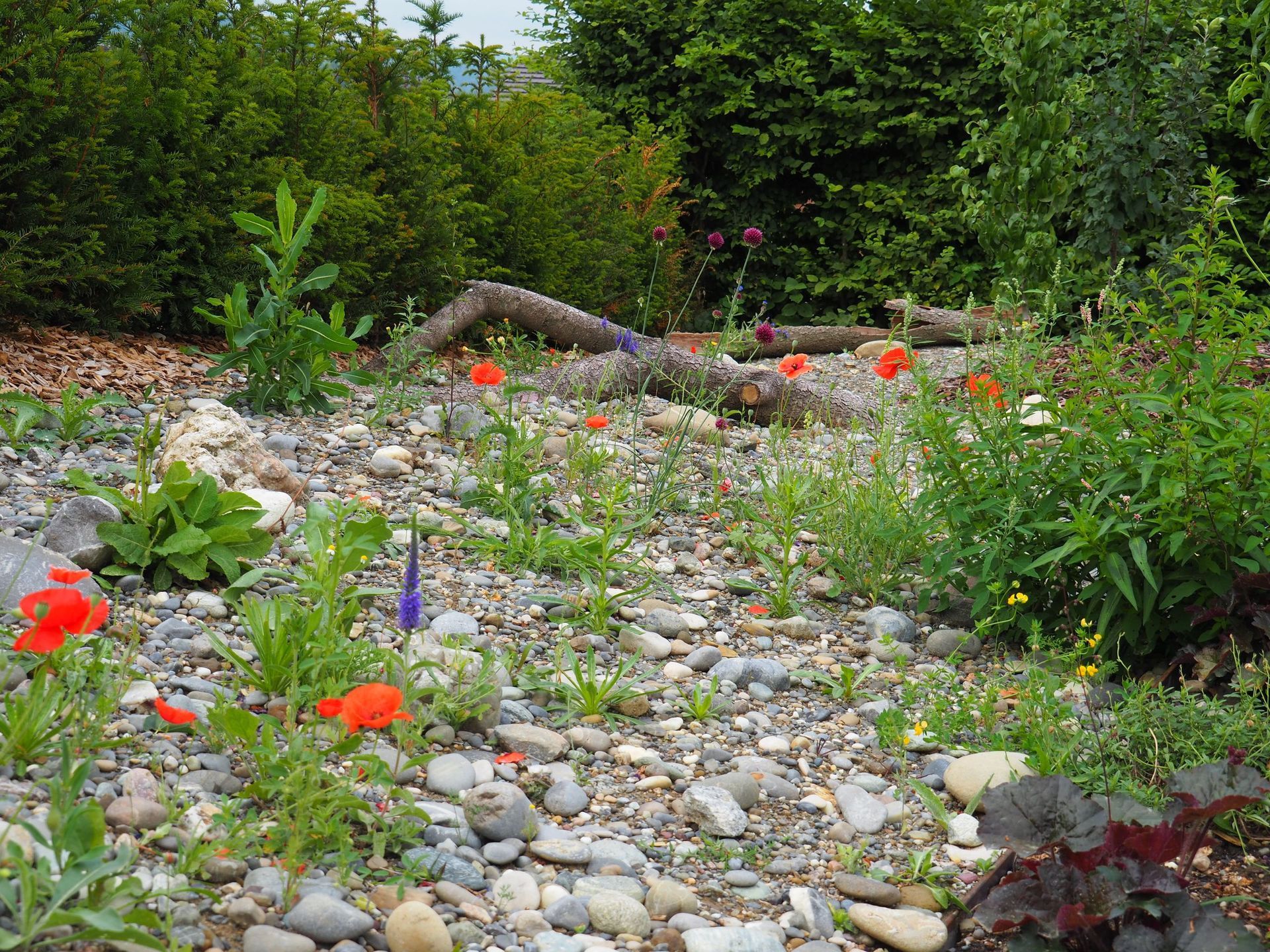 Rutschmann Gartenbau & Naturbau