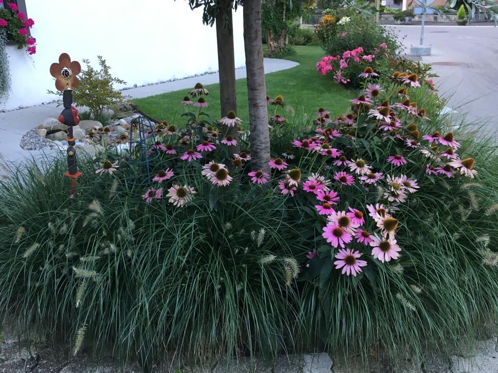 Rutschmann Gartenbau & Naturbau