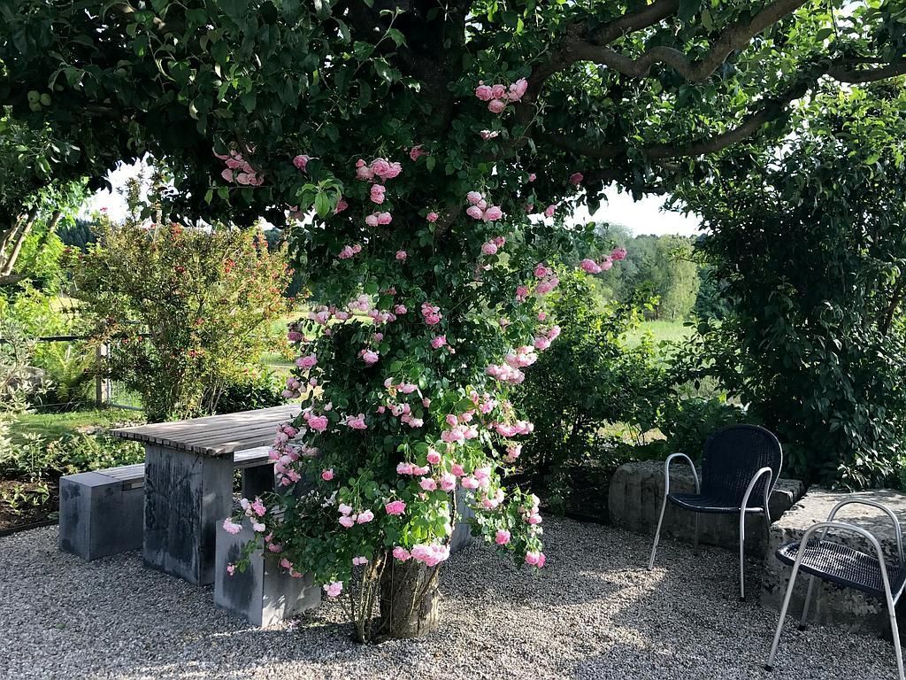 Rutschmann Gartenbau & Naturbau