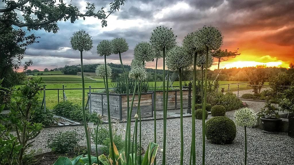 Rutschmann Gartenbau & Naturbau