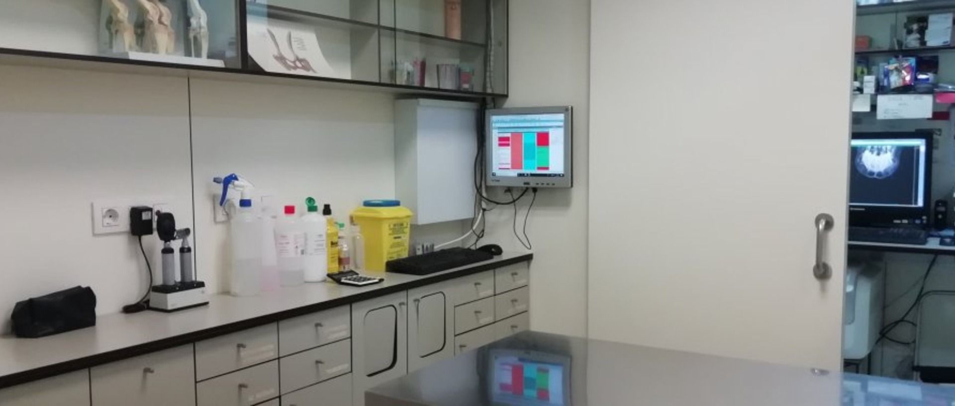 Un consultorio veterinario con una mesa y una computadora en la pared.