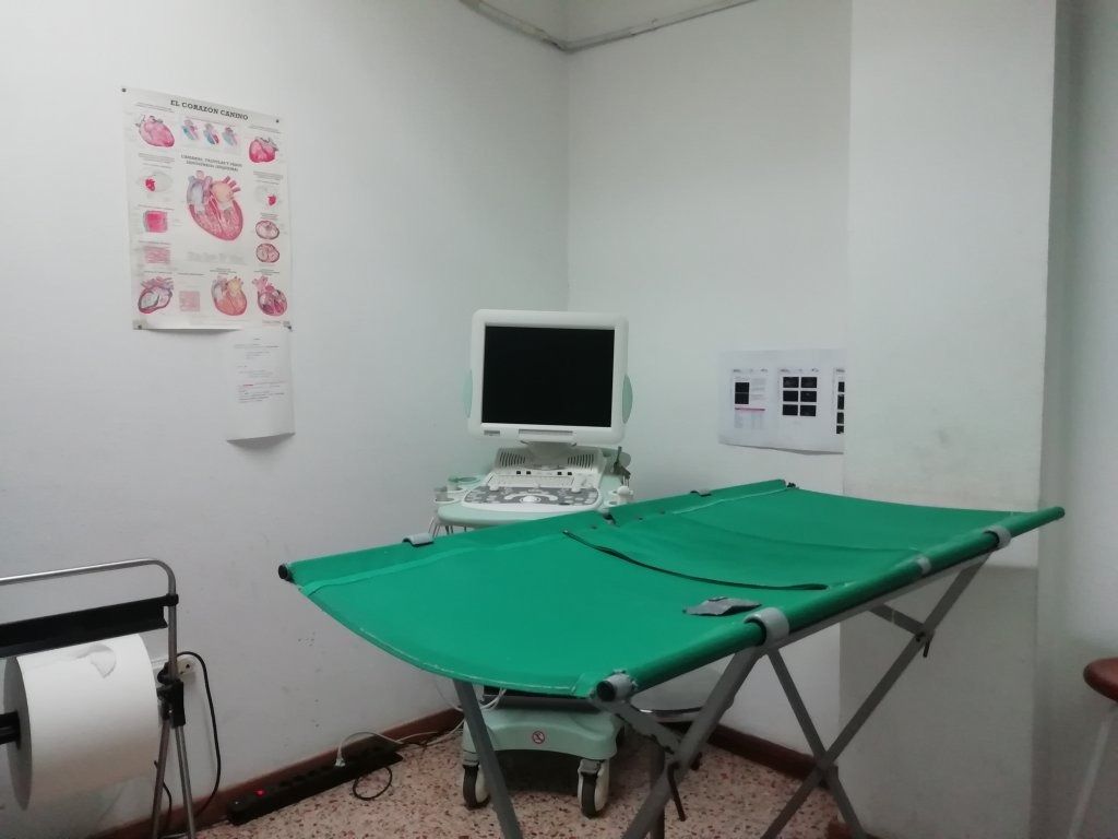 Una habitación con una mesa verde y una computadora encima.