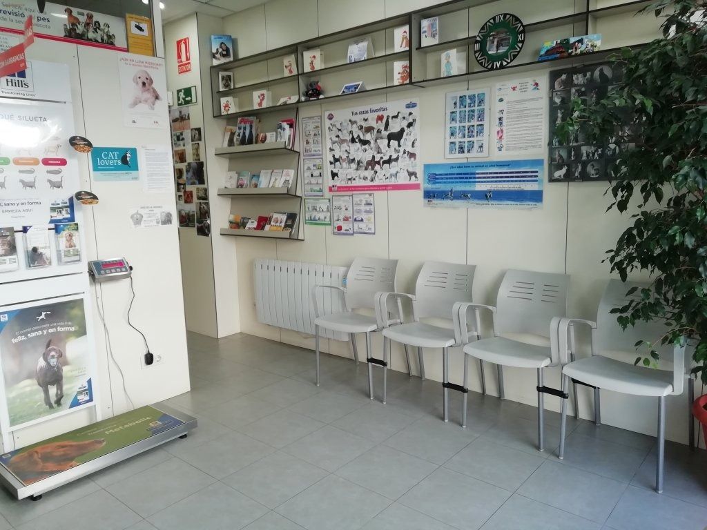 Una sala de espera con sillas y una báscula en el suelo.