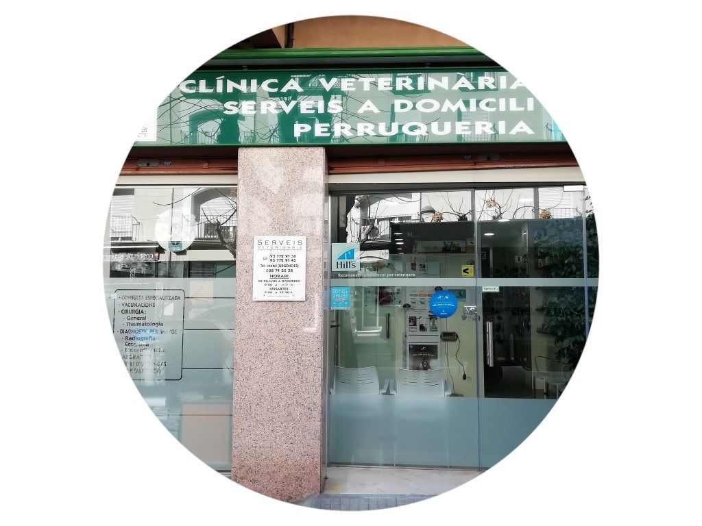Una imagen del consultorio de un veterinario en un círculo.