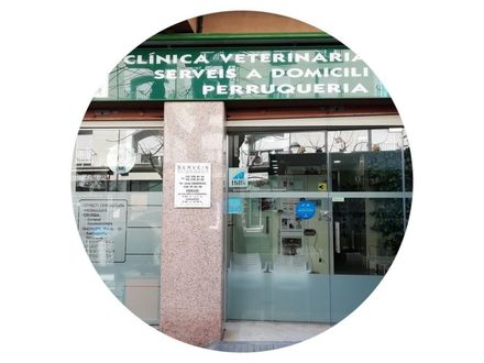 Una imagen del consultorio de un veterinario en un círculo.