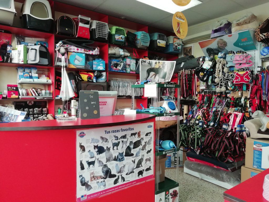 Una tienda llena de muchos artículos para perros y gatos.