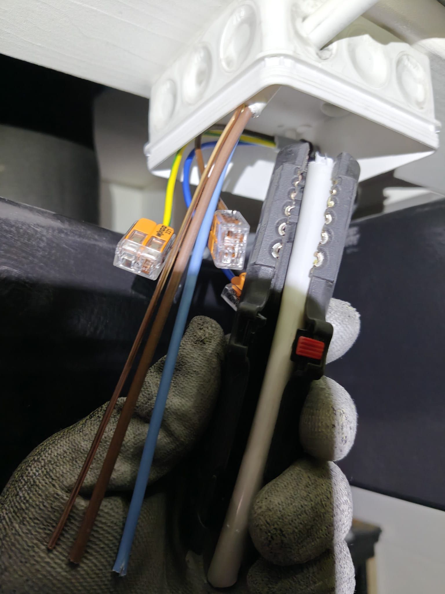 Luo Alt-tekstitunnisteet hakukoneoptimointia ja saavutettavuutta varten.