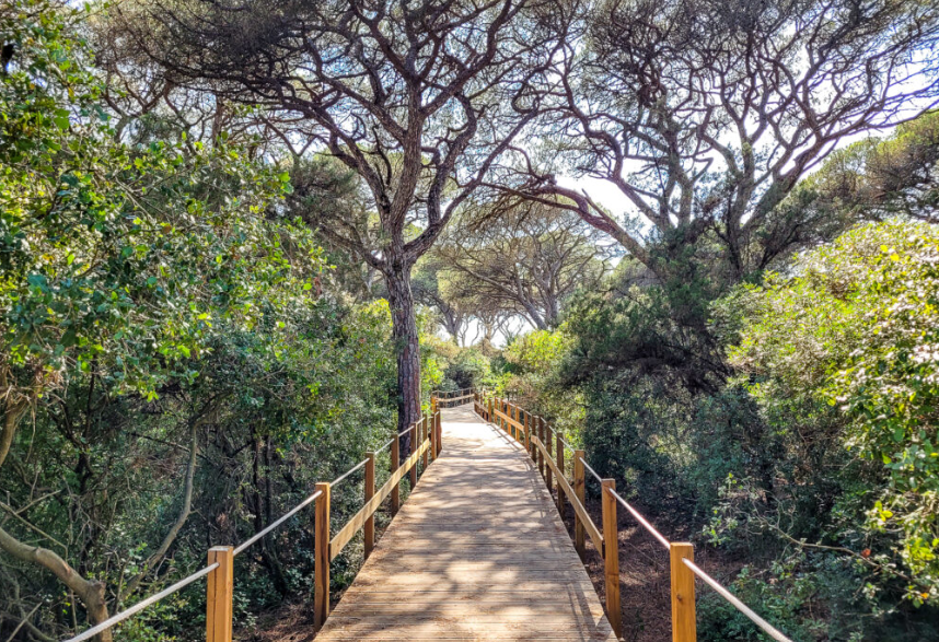 Hiking and Jogging at Mata dos Medos Nature Reserve near Aroeira