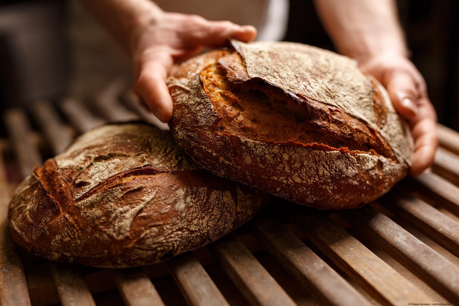 Zwei runde, rustikale Brote mit knuspriger Kruste liegen auf einem Holzrost, eine Hand hält ein Brot.