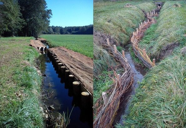 Érosion d'un fossé de drainage dans un champ herbeux, avec sol exposé et un petit ponceau traversant l'eau.