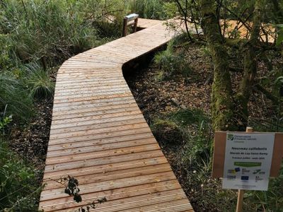 Promenade en bois serpentant à travers une zone boisée avec un petit panneau sur le côté