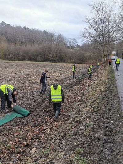Des ouvriers vêtus de gilets fluo ramassent les déchets le long d'un talus routier en hiver.