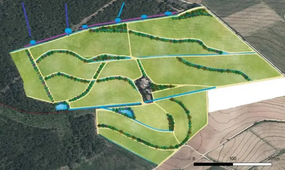 Chemin de gravier boisé serpentant à travers une forêt verdoyante baignée d'une lumière tachetée.