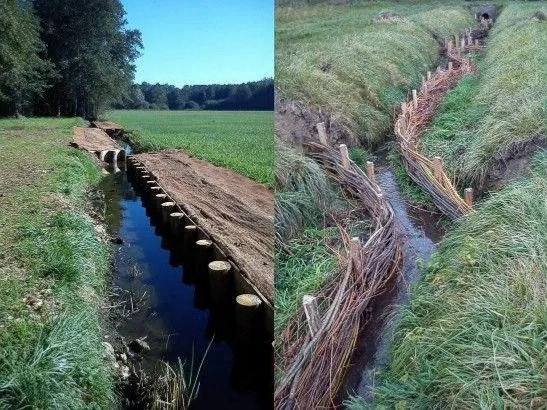 Chemin de gravier boisé serpentant à travers une forêt verdoyante baignée d'une lumière tachetée.