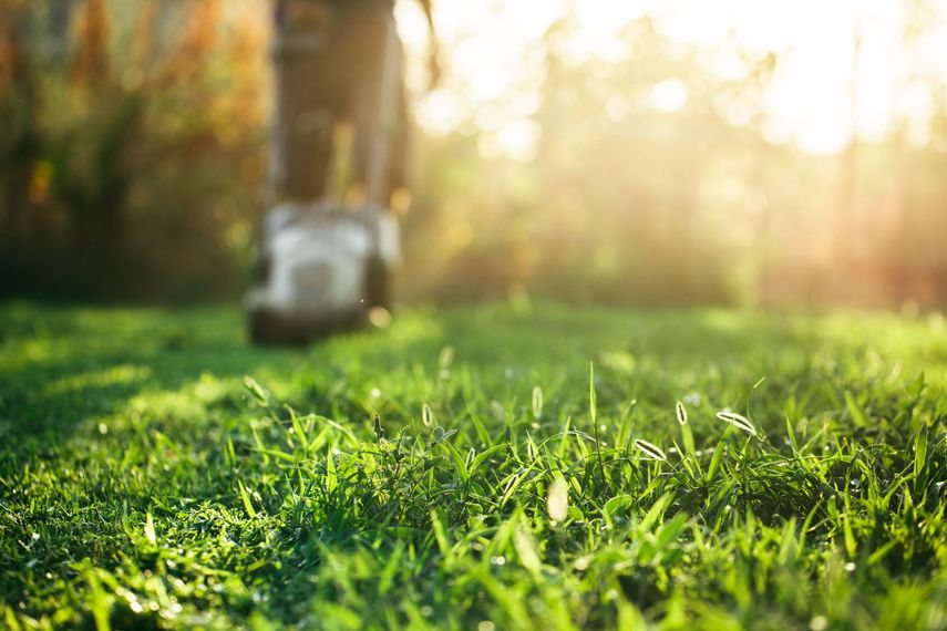 Une tondeuse à gazon coupe l'herbe verte et fraîche dans un jardin ensoleillé, avec des arbres aux contours flous en arrière-plan.