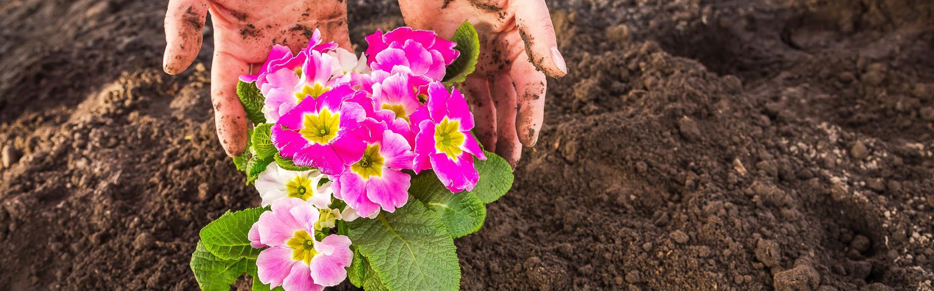 Über uns | Dauti Garten- und Landschaftsbau Über uns | Dauti Garten- und Landschaftsbau