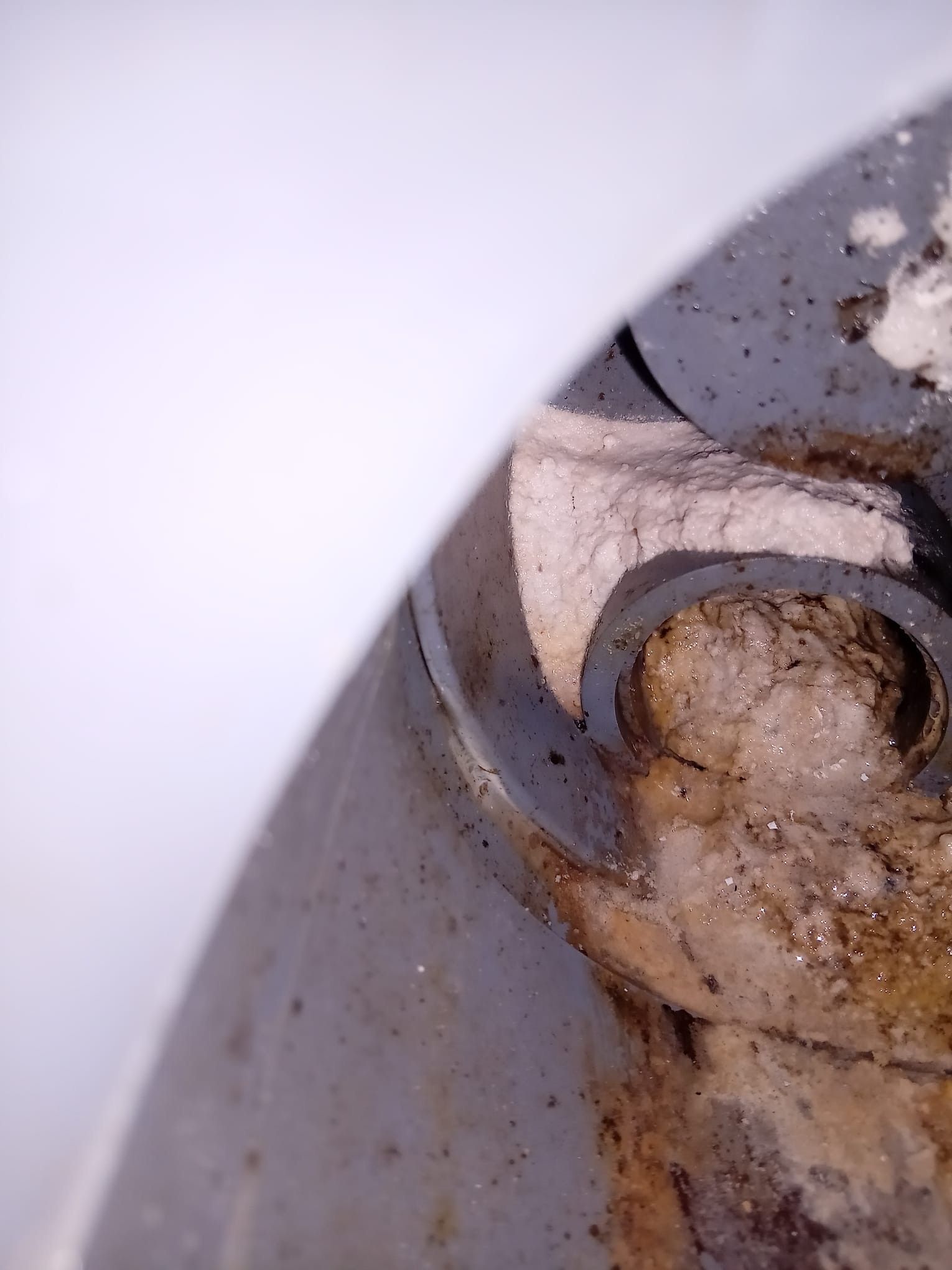 Un primer plano de un trozo de carne en un plato.